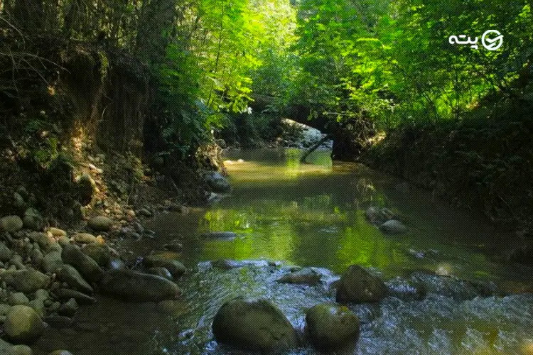 بهترین زمان سفر به پلنگ دره