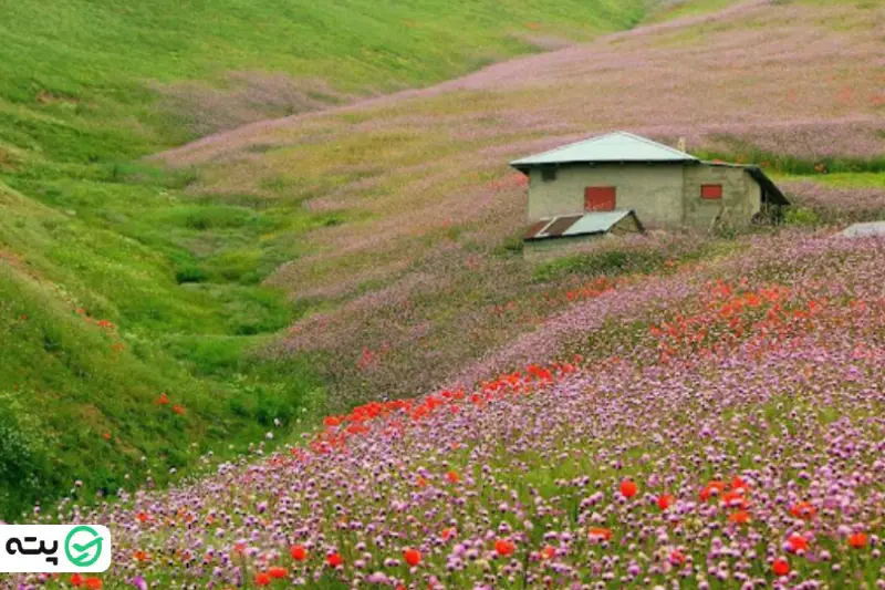 ییلاق کیاره