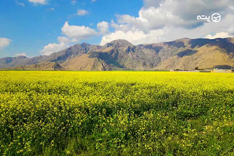 آثار باستانی دشت سوسن