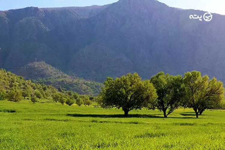 راهنمای سفر به دشت سوسن ایذه