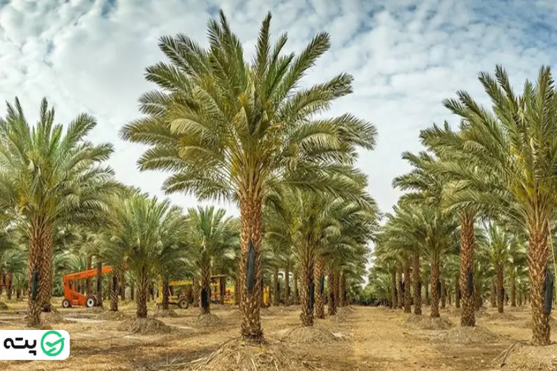 بهترین زمان سفر به جزیره مینو