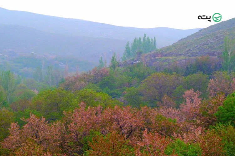 روستای اخلمد