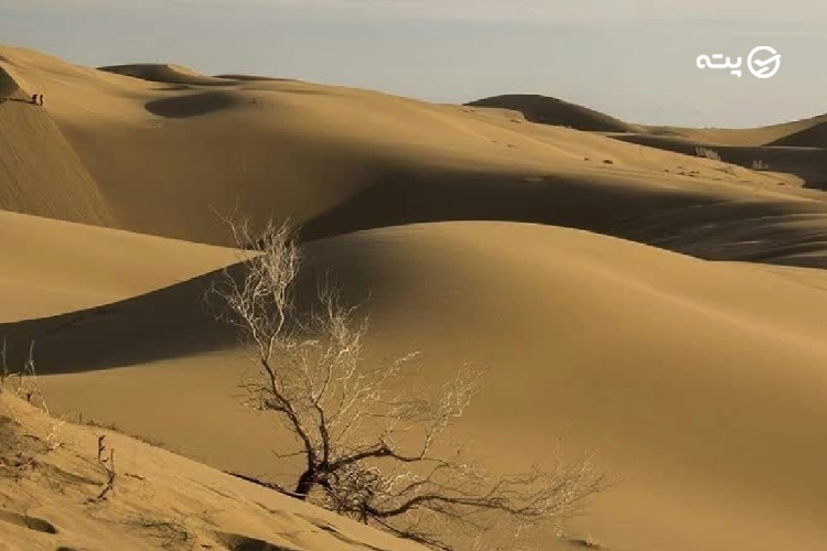 کویر مزینان از جاهای دیدنی اطراف مشهد