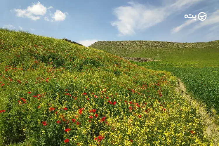 روستای خادر