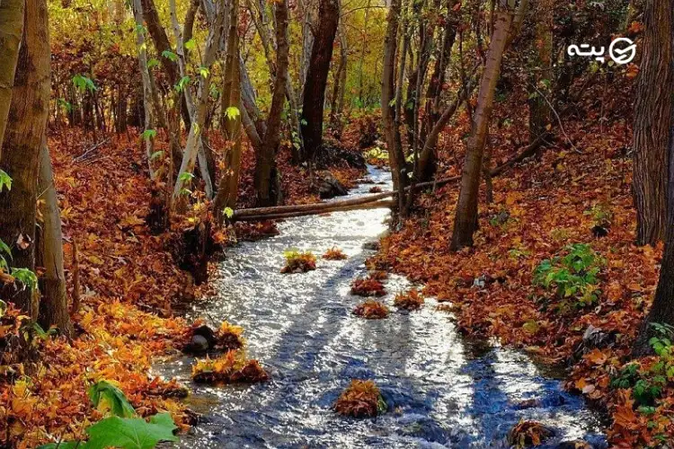 شهر گلمکان از جاهای دیدنی اطراف مشهد