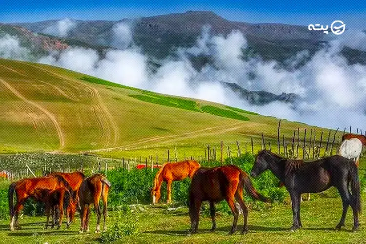 سوباتان از جاهای دیدنی تالش