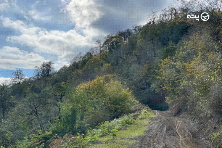 روستای کشفی