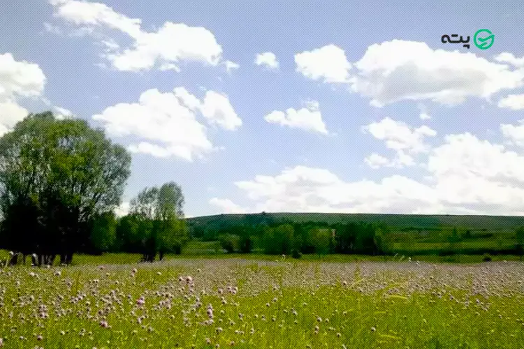 دره جنگلی ایردموسی