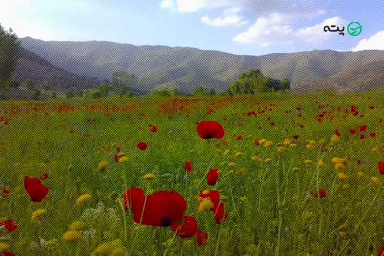 روستای نژو از جاهای دیدنی کردستان