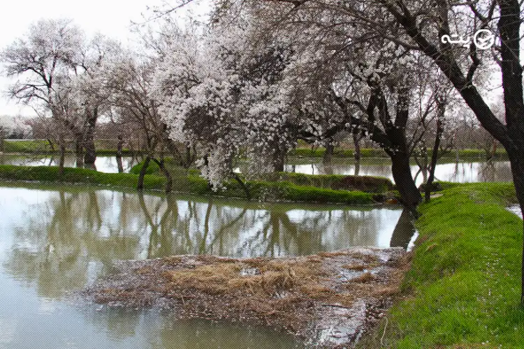 باغستان‌ های سنتی از جاهای دیدنی قزوین