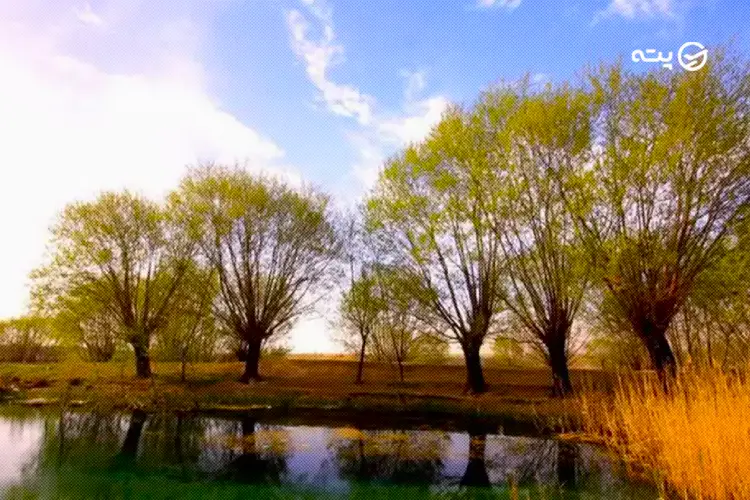 چشمه بالنگان از جاهای دیدنی هرمزگان