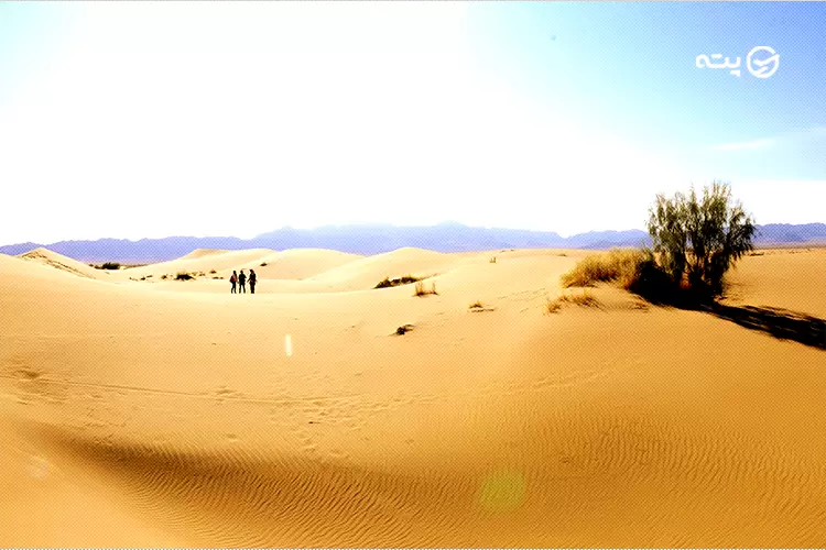 کویر مصر و روستای مصر