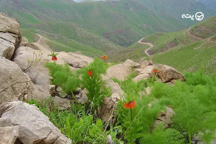 روستای درکی