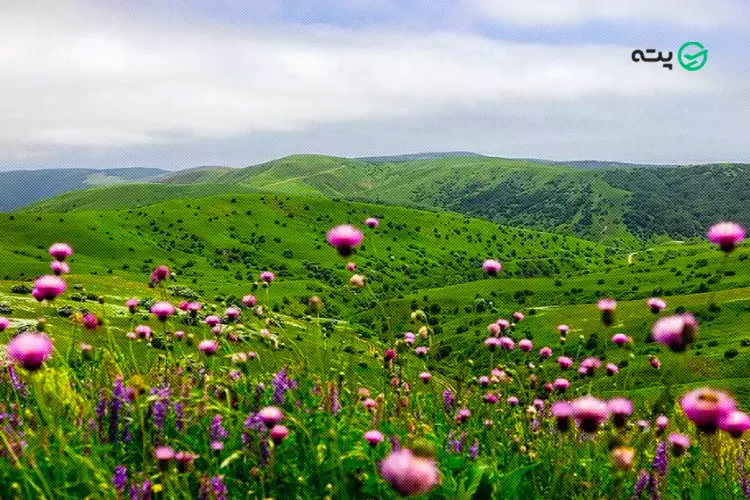 جاهای دیدنی و گردشگری شهر اردبیل