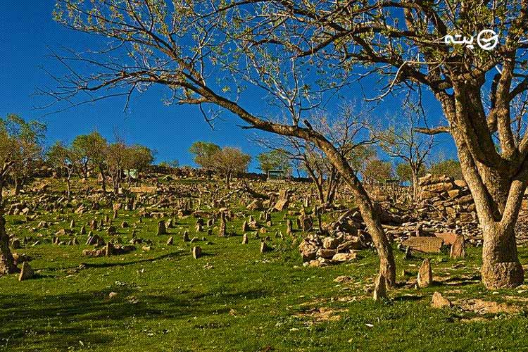 قبرستان پالنگان