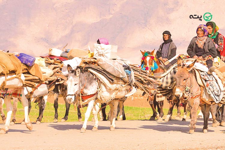 کوچ عشایر