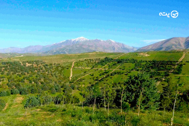 پارک جنگلی تلو از جاهای دیدنی لواسان