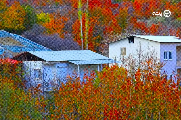 پوشش گیاهی و جانوری روستای وردیج