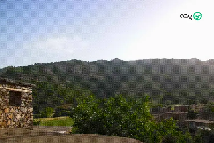 روستای نژو