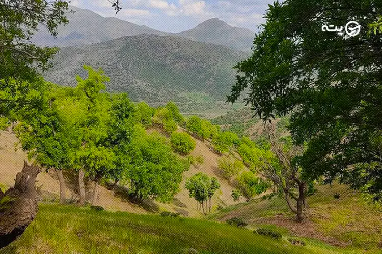 تفرجگاه نجه از جاهای دیدنی بانه