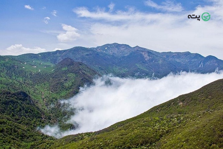 جنگل ابر از جاهای دیدنی سمنان پته