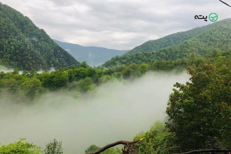 روستای چمستان پته
