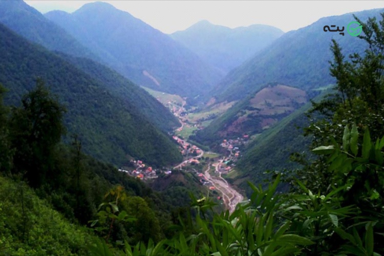 جنگل واز چمستان مازندران