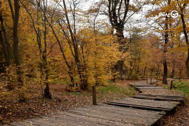 النگدره از جاهای دیدنی گرگان