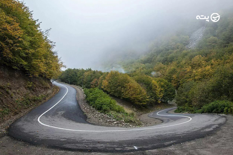 جنگل ارسباران از جاهای دیدنی کلیبر 