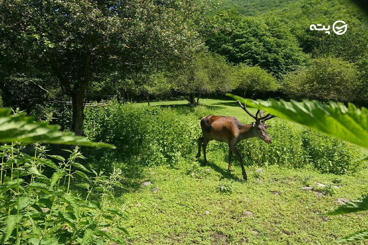 جاهای دیدنی کلیبر 